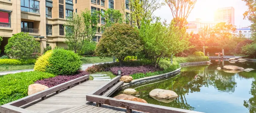 Tree and Shrub Care for Commercial Properties