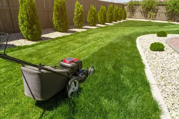 lawn mowing